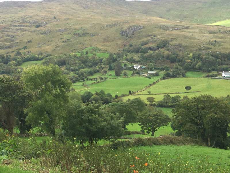 The Ring of Beara