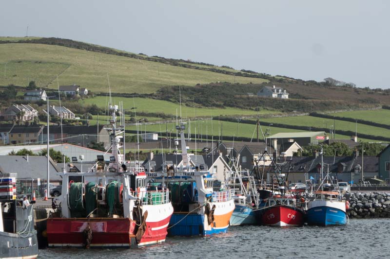 Visit Dingle