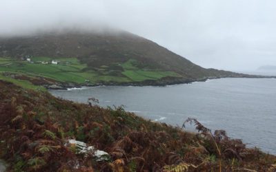 You must Explore The Ring of Beara in Ireland – or maybe not.