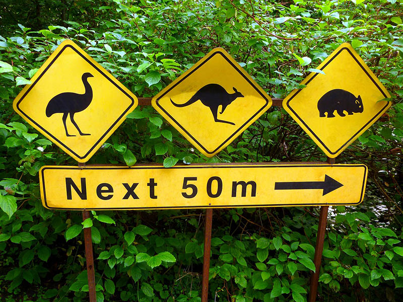 27 Do’s and Don’ts when Visiting Australia
