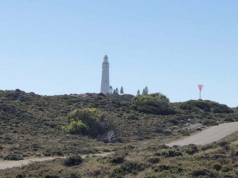 Visit Rottnest Island to see the quokkas