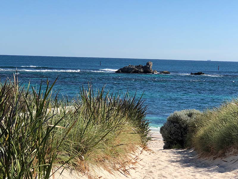 Visit Rottnest Island to see the quokkas