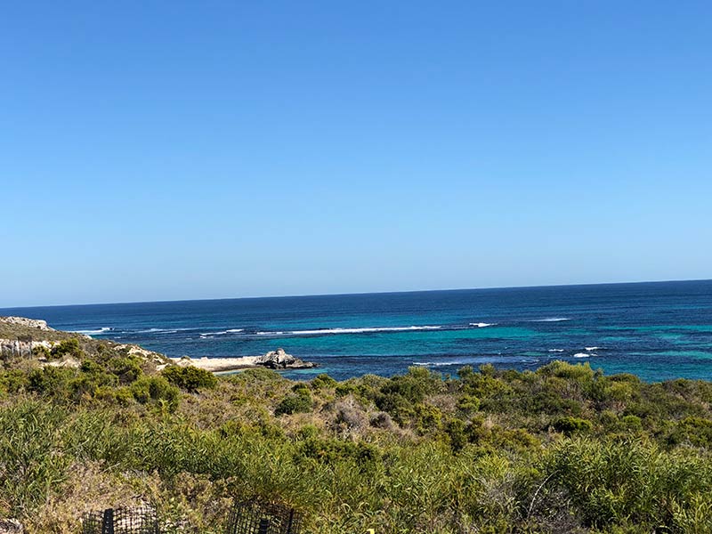 Visit Rottnest Island to see the quokkas