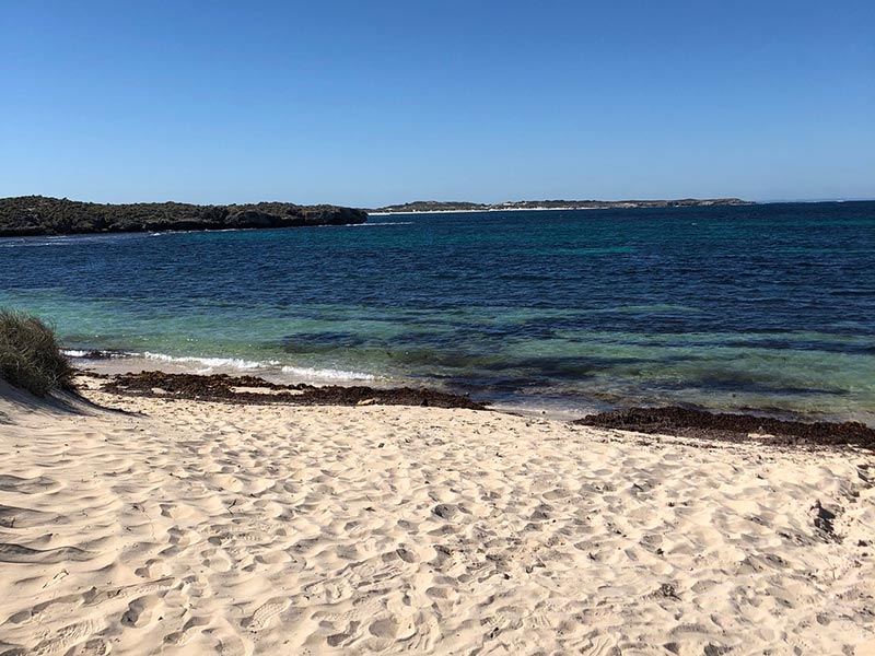 Visit Rottnest Island to see the quokkas