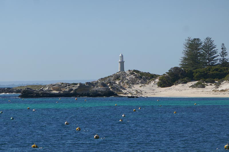 Visit Rottnest Island to see the quokkas