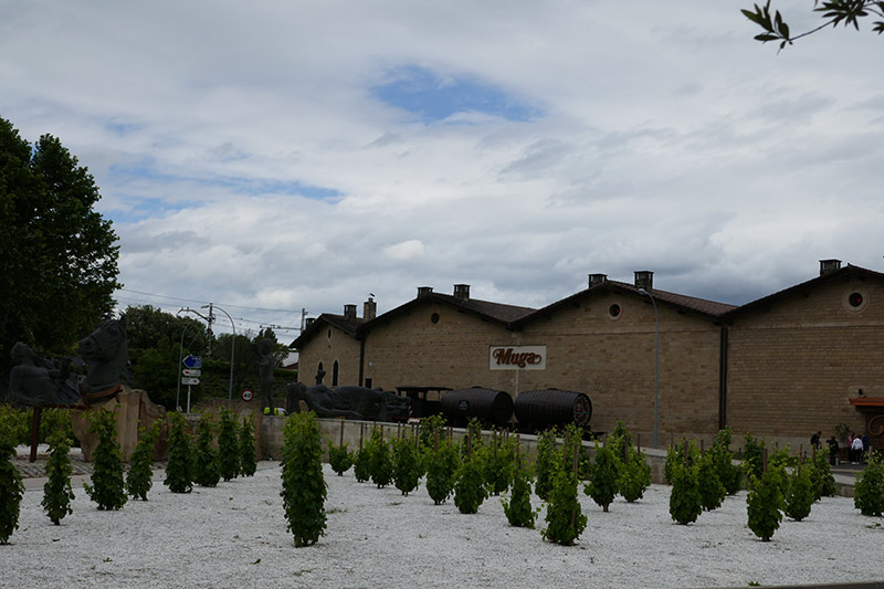 Visiting the Wineries in Haro, Spain