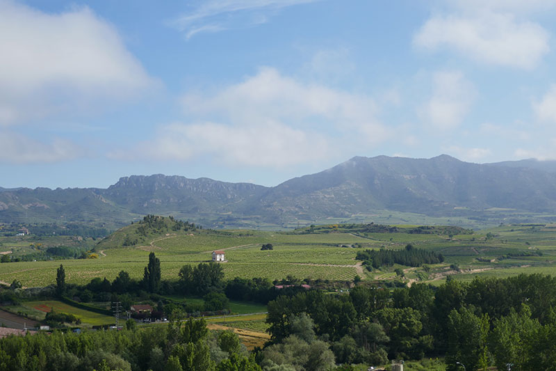 Visiting the Wineries in Haro, Spain