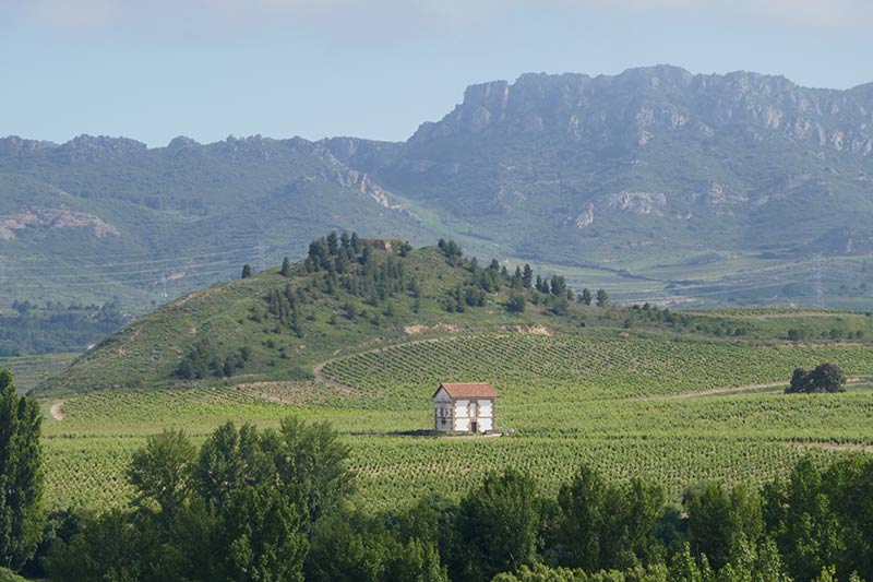 Visiting the Wineries in Haro, Spain